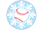 Winter Clinics for Baseball