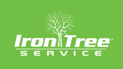 iron tree service